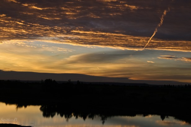 serene morning-lake-calm-reflections-SwittersB-2