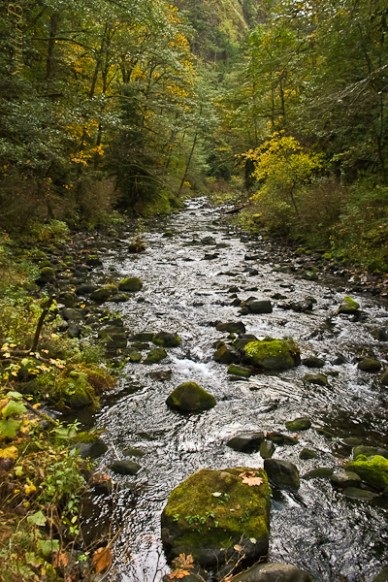 Tanner Creek-Gorge-Oregon-SwittersB
