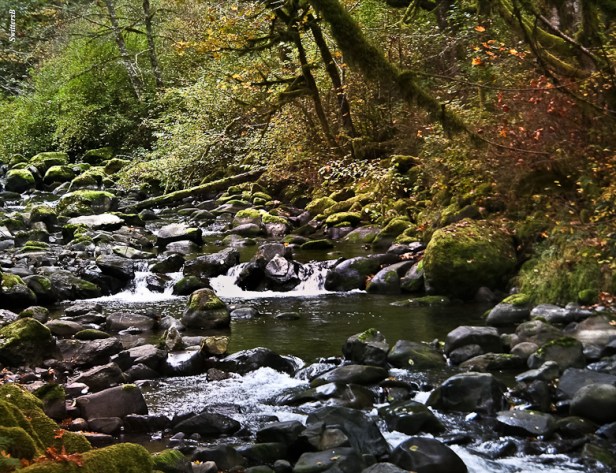 Tanner Creek-pool-stream-boulders-SwittersB-2