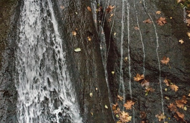 Waterfalls-rock wall-leaves-Wachella-SwittersB