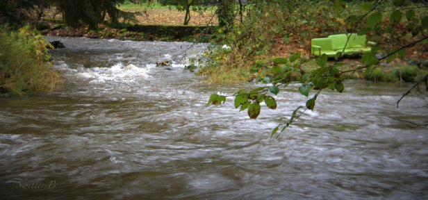 Bear Crk-Couch-Oregon-SwittersB