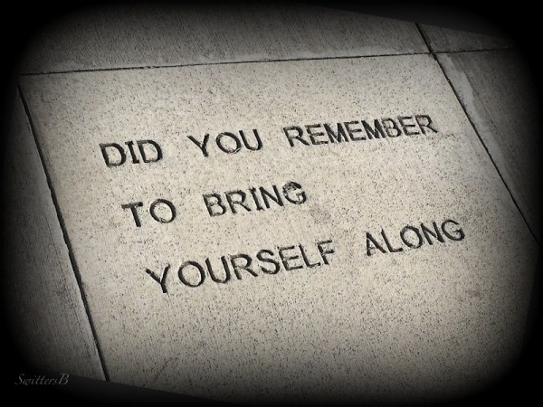 bring self along paver-SwittersB-Portland