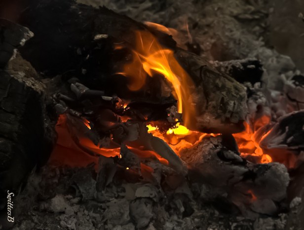 fire-coals-campfire-Oregon-SwittersB-2