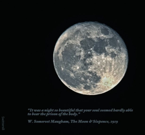 Full Moon-Thanksgiving Day 2015-SwittersB