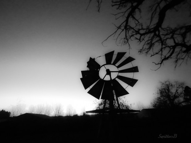 swittersb, windmill, farm, rural, Oregon