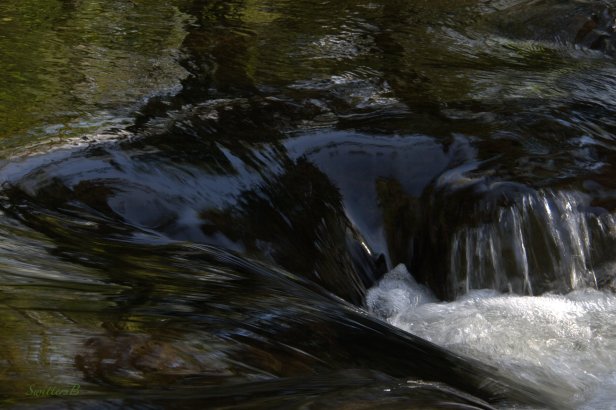 rapids-river-water-SwittersB