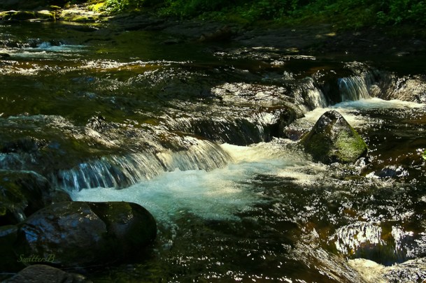 rapids-shade-stream-SwittersB