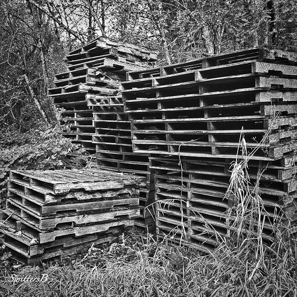 stacked-pallets-forgotten-SwittersB-2