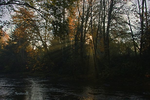 sun-smoke-rays-river-morning-SwittersB