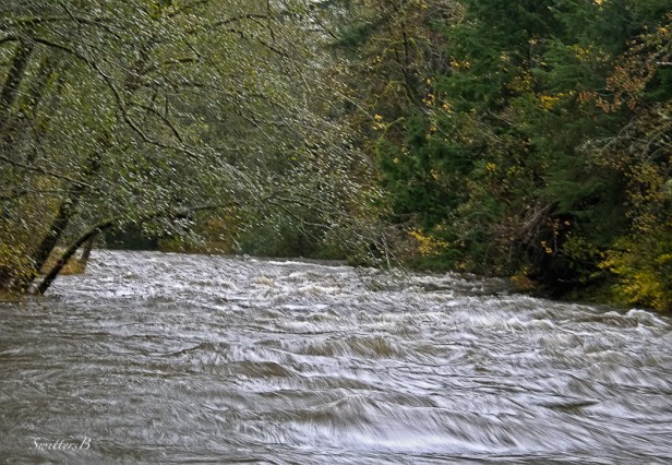 turbulent-changes-river-SwittersB