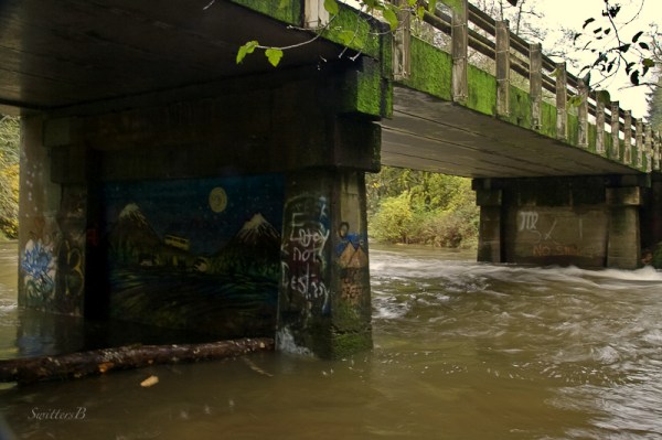 under bridge-river-Salmon River-SwittersB