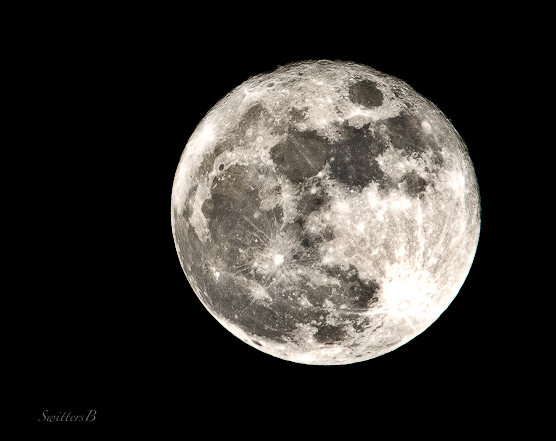 Christmas Moon 2015 SwittersB Oregon