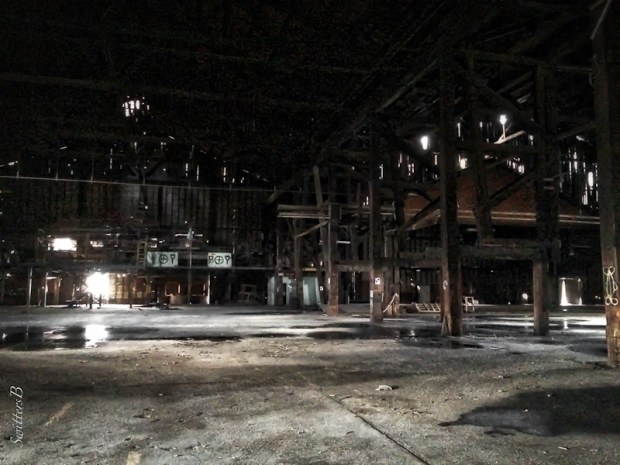 Linnton Plywood-Vacant-SwittersB