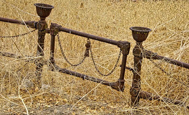 old cemetery gate-Central Oregon-brambles-SwittersB