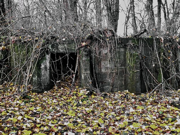 old building-abandoned-Oregon-SwittersB