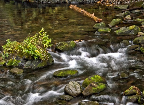 small stream-moss-Gorge-SwittersB