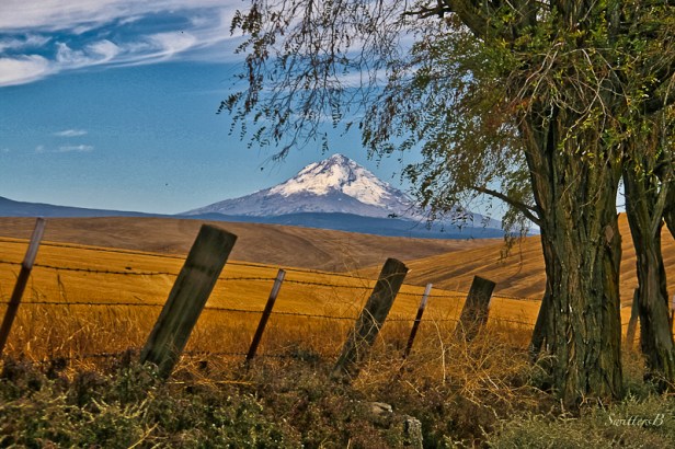 SwittersB-Mt; Hood-fence line_HDR-2