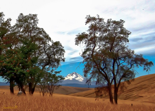 Mt. Hood-Dufur-Oregon-SwittersB