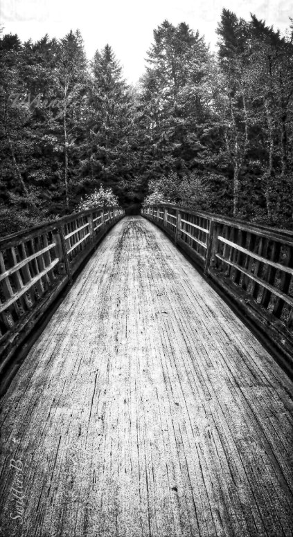 wooden-foot bridge-Mt. Hood-Oregon-SwittersB.jpg