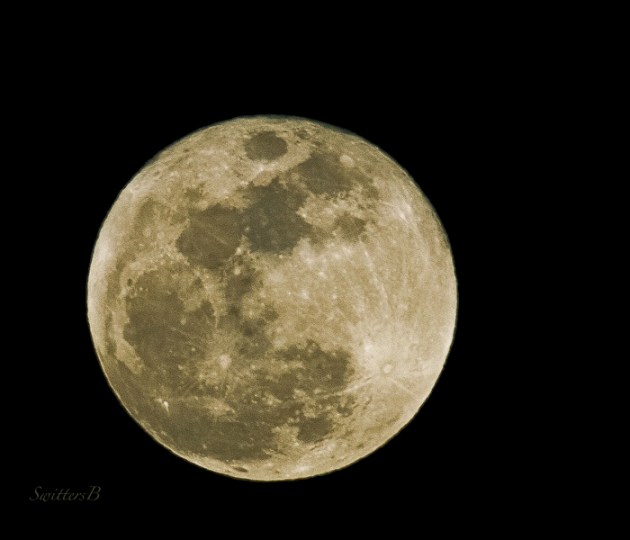 2-22-2016-Oregon-SwittersB