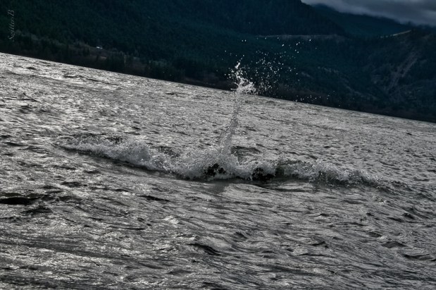 2-columbia river-rocks-spray-SwittersB