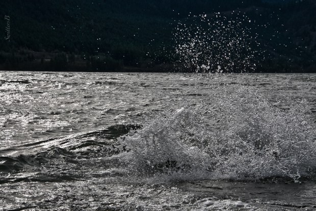 4-columbia river-rocks-spray-SwittersB