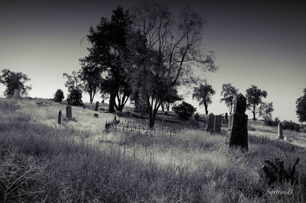 cemetery-oregon-hillside-SwittersB