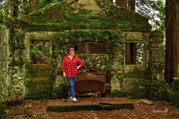 Corser Fireplace SwittersB