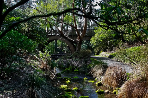 garden path-bridge-stream-SwittersB
