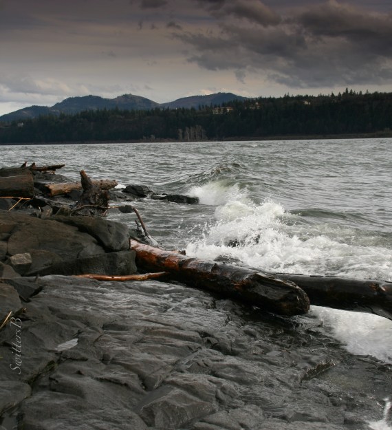 Gorge-waves-Columbia R.-shoreline-Washington-SwittersB