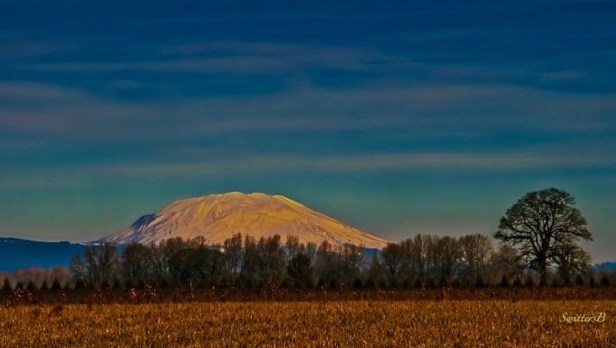Mt. St Helens-Sauvie Island-Oregon-SwittersB