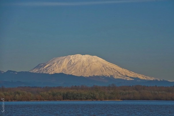 Mt. St. Helens-Sturgeon Lake-Sauvie Island-SwittersB