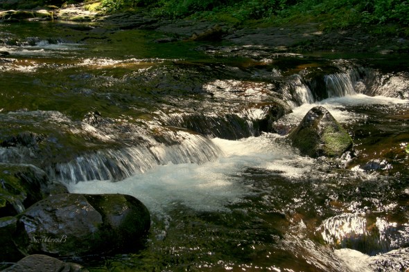 multnomah creek-Oregon-Gorge-upper-SwittersB