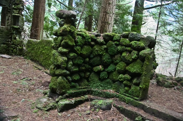 Nellie Corser Stone House Side Wall SwittersB