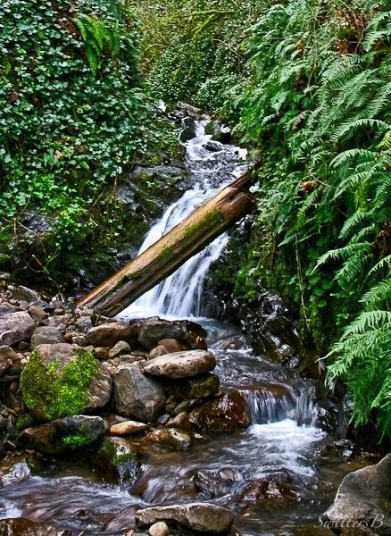 Newton Creek-Linnton-waterfall-Oregon-SwittersB