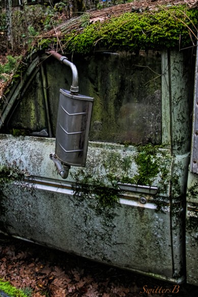 old truck-Datsun-moss-SwittersB