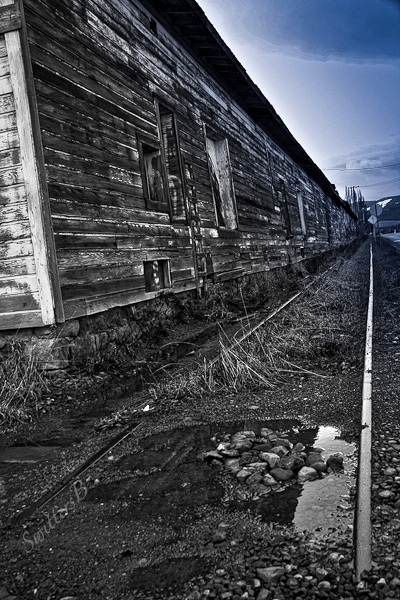 pine grove-siding-fruit warehouse-SwittersB