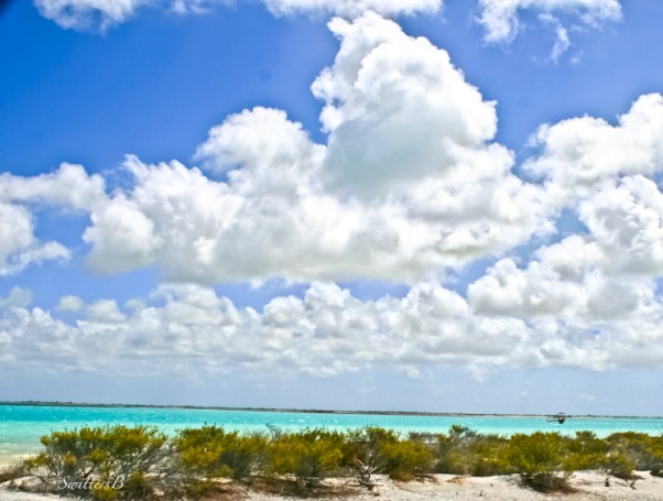 a Flat-Christmas Is-clouds-boat-SwittersB
