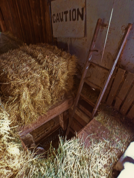caution-ladder-barn-SwittersB-
