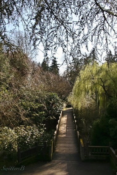 footbridge-gardens-willow tree-SwittersB