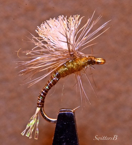 Parachute-Emerger-Mayfly-Fly Pattern-SwittersB
