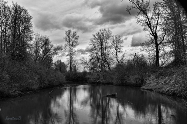 pond-dusk-Sauvie Island-SwittersB