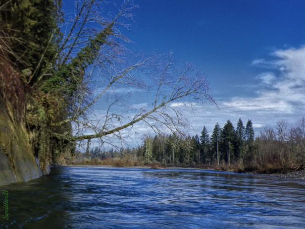 River-Sweeper-Clackamas-Oregon-SwittersB