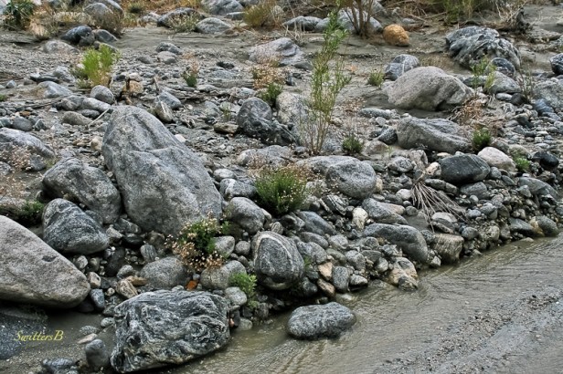 streamside rocks-Whitewater Canyon-California-SwittersB