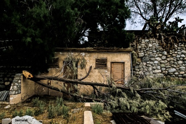 whitewater ranch-tree branch down-SwittersB