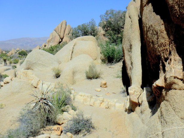 Joshua Tree NP-rock-formations-layers-SwittersB
