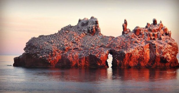 mejico island-lapaz-baja-SwittersB