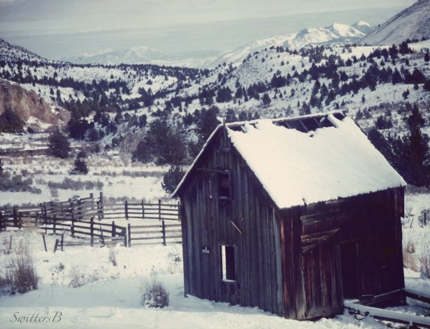 old cabin-oregon-ochoco-Muncy