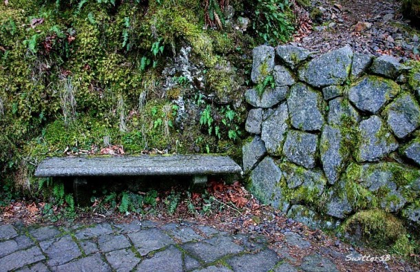 a trailhead-bench-oneonta gorge-SwittersB