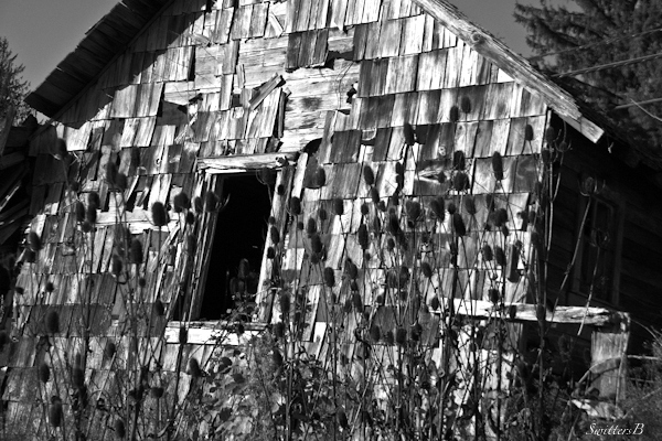 abandoned-forgotten-old-house-oregon-photography-rustic-rural-swittersb